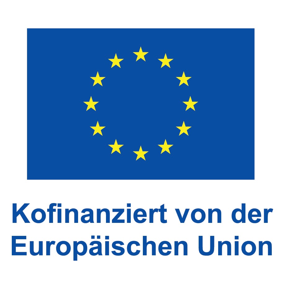 DE V Kofinanziert von der Europäischen Union_POS DE V Kofinanziert von der Europäischen Union_POS