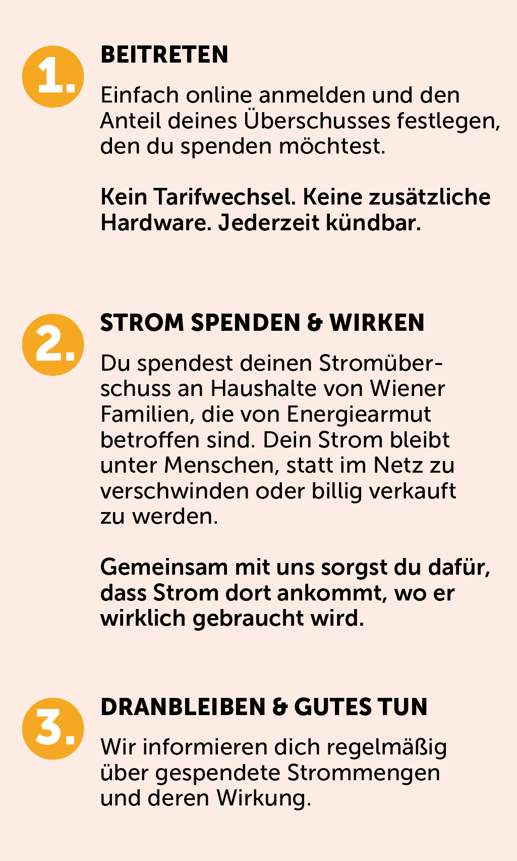 Solar_Solidar_06_2026_erste_Layouts_Web_Grafiken-47 Solar_Solidar_06_2026_erste_Layouts_Web_Grafiken-47