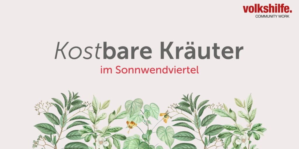 Kraeuter_Web_Zeichenflaeche-1-1280x720